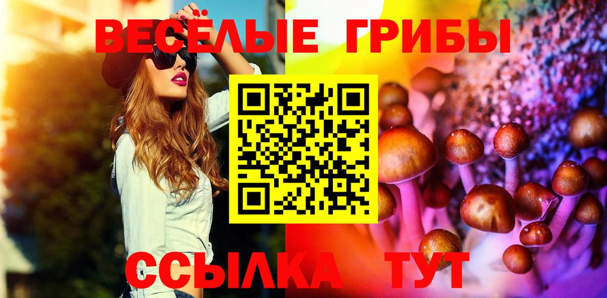 Мелеуз  Галлюциногенные грибы прущие грибы  Вход с VPN 